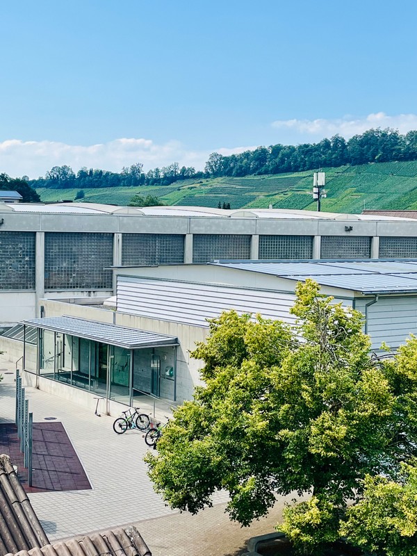 Dachsanierung Turnhalle Bützel.jpeg